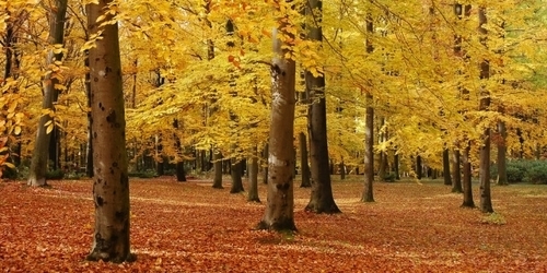 arboretum-krtiny.jpg