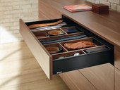 Blum_lbx0198_4.jpg