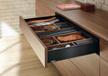 Blum_lbx0198_4.jpg