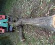 DSC00347.JPG