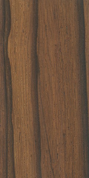 Tropické dřeviny - Palisandr