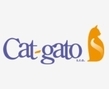 cat-gato.jpg