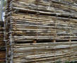 Javorové_řezivo_50_mm_2.JPG