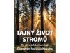 tajny_zivot_stromu.jpg