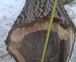 IMG_20170124_152705.jpg