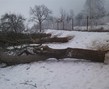 IMG_20170124_152537.jpg