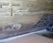 IMG_20170329_075435.jpg
