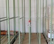 IMG_20170615_083642__1_.jpg