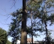 IMG_20200720_183823.jpg