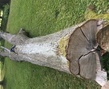 IMG_8707.JPG