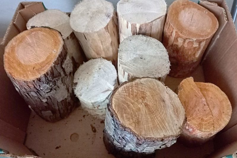 Dřevo pro soustružení - Hloh, kořen javoru
