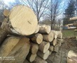 IMG_20210412_115807.jpg