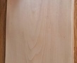 IMG_20221019_171045-01.jpeg