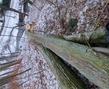 20240113_160235.jpg
