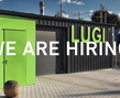 LUGI_HIRING_hala.JPG