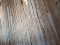 20251104_120852.jpg