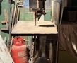 IMG_2550.jpeg